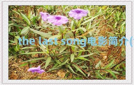 the last song电影简介(the last song for you)